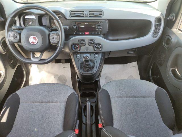 FIAT Panda 1.2 Lounge OK NEOPATENT. CLIMA,FENDINEBBIA