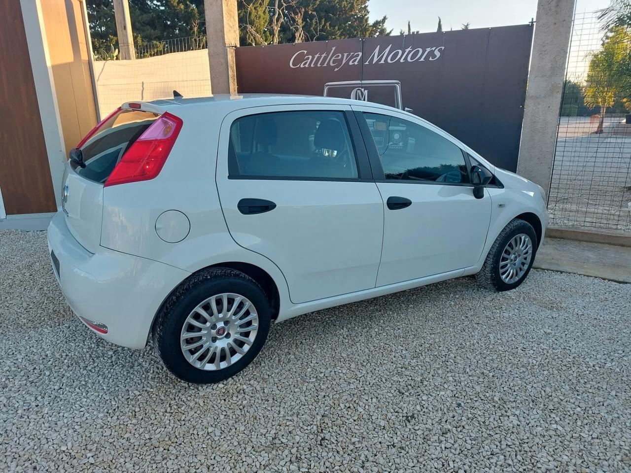 Fiat Punto 1.3 MJT II S&S 85 CV 5 porte Street