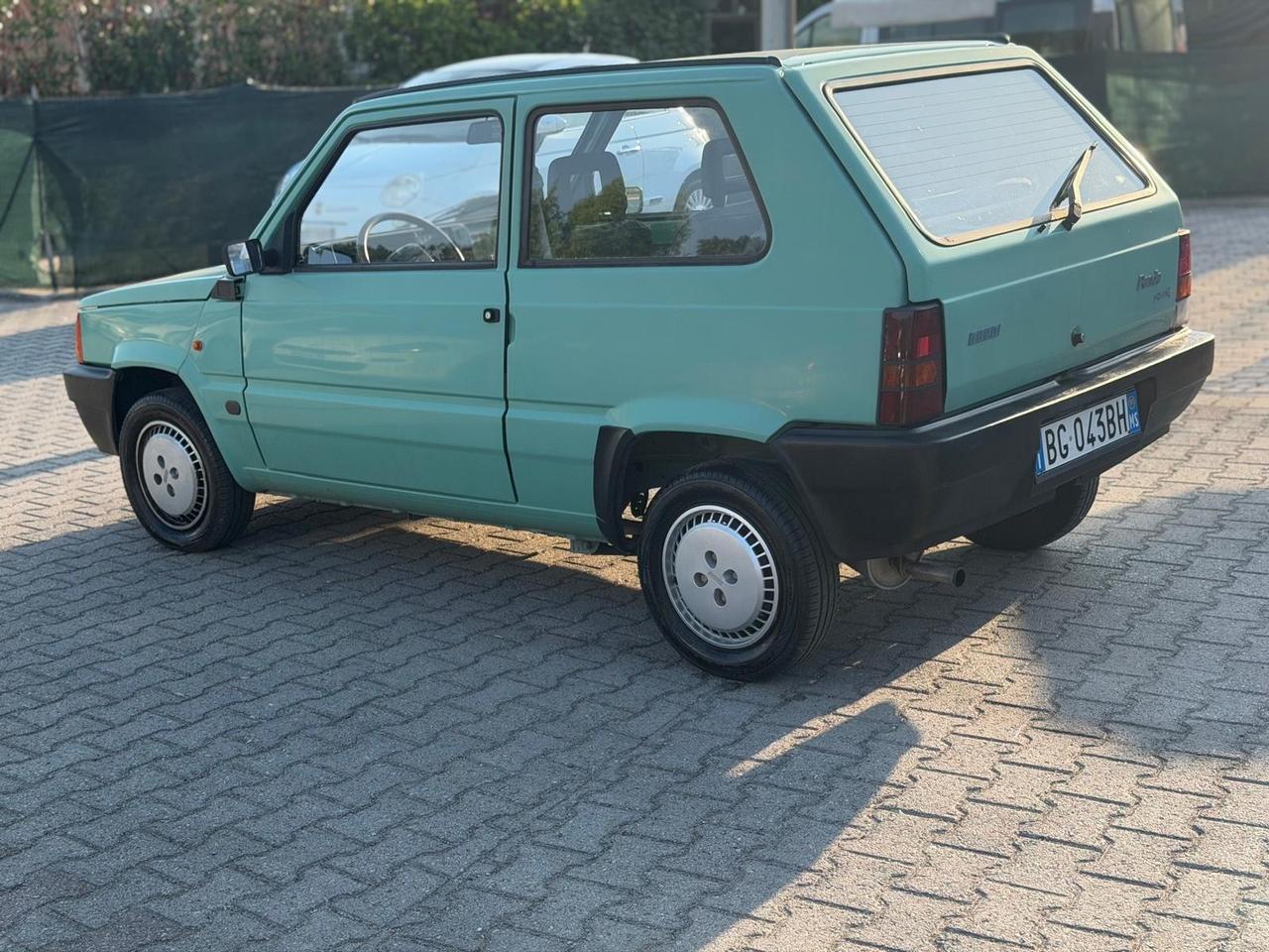 Fiat Panda 900 i.e. cat Young