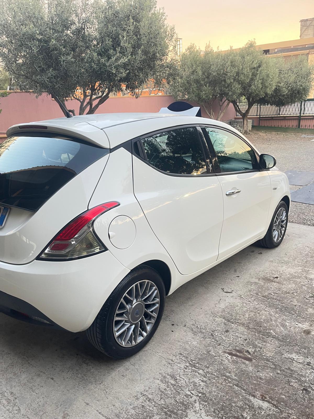 Lancia Ypsilon 1.3 MJT 16V 95 CV 5 porte S&S Platinum