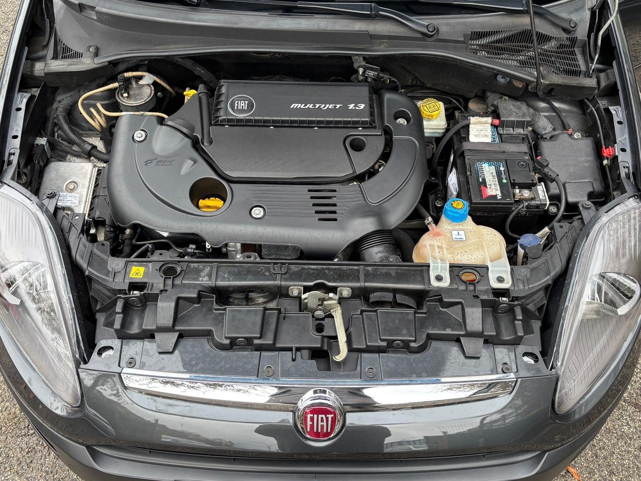 Fiat Punto Evo 1.3 Mjt 75 CV 5 porte Dynamic ok Neopatentati