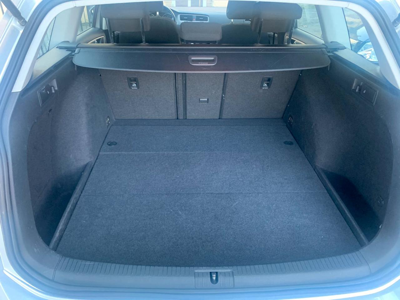 Volkswagen Golf 1.4 TGI 5p. Executive BlueMotion