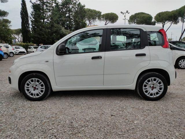 FIAT Panda 1.2 Easy GPL CLIMATIZZATORE OK NEOPATENTATI ..