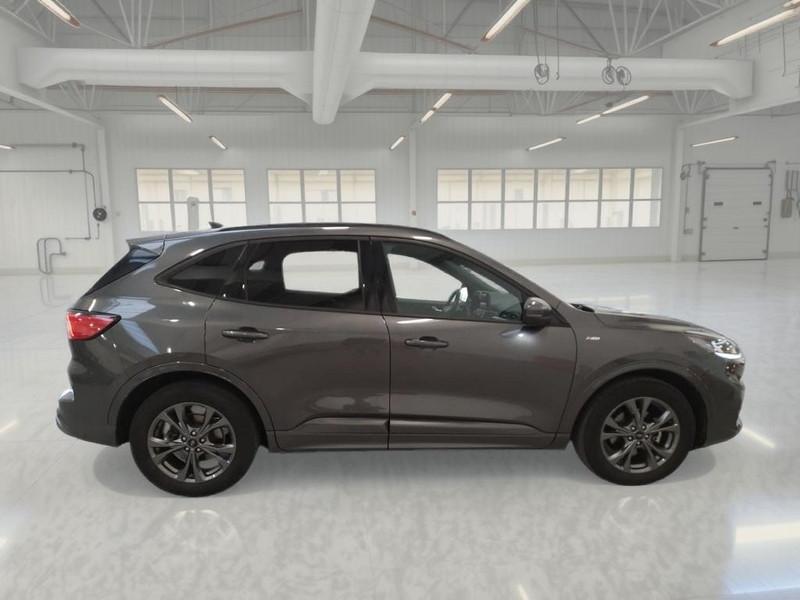 FORD KUGA 1.5 EcoBlue 120CV 2WD ST-Line Auto