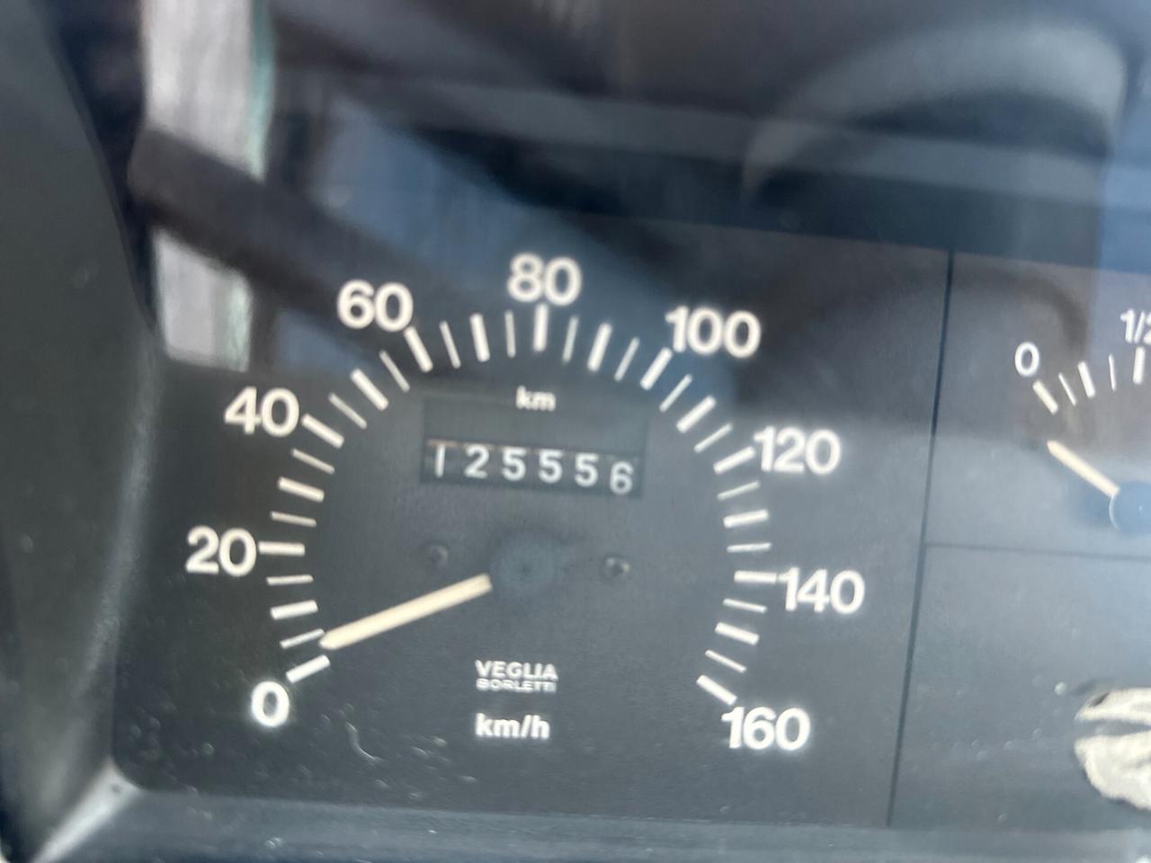 Fiat Panda 900 i.e. cat Young