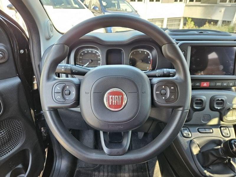 FIAT Panda Cross 1.0 FireFly 70cv S&S Hybrid City Cross