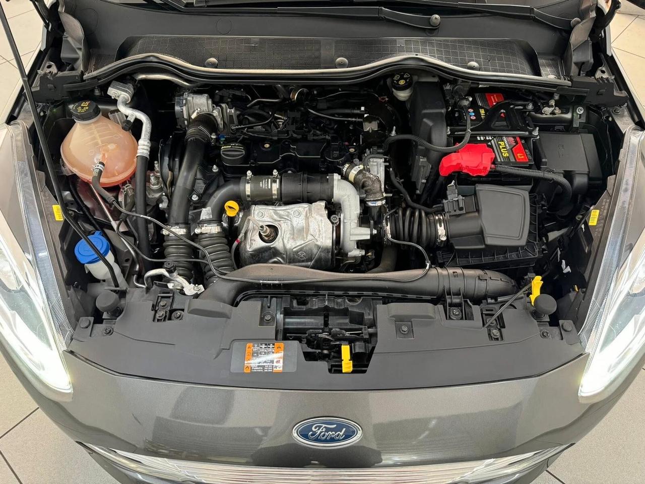Ford Fiesta 1.5 Diesel 5 Porte 86/CV Titanium 2019