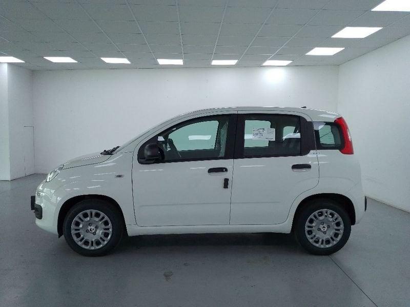 FIAT Pandina III 2024 Pandina 1.0 firefly hybrid s e s 70cv