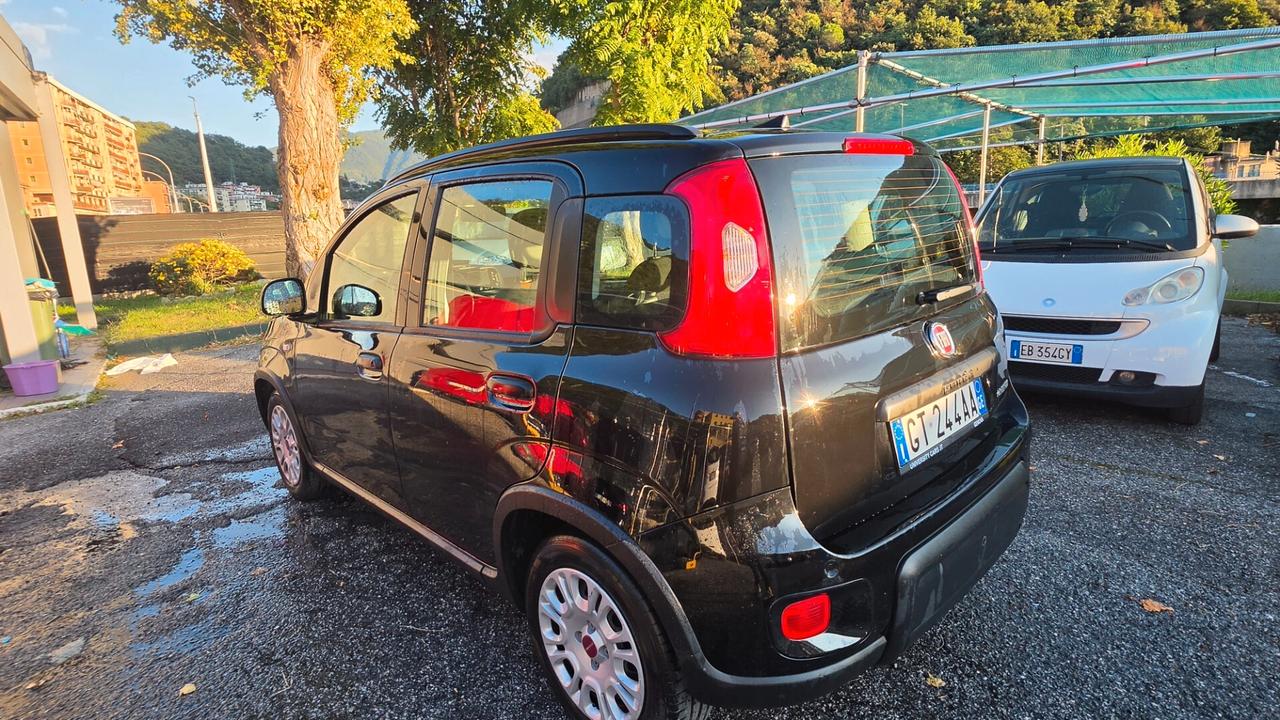 Fiat Panda 1.0 FireFly S&S Hybrid