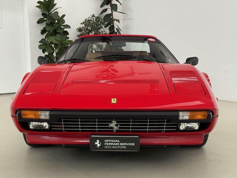 Ferrari 208/308/328/GTO 308 GTS Quattrovalvole - SPETTACOLARE!