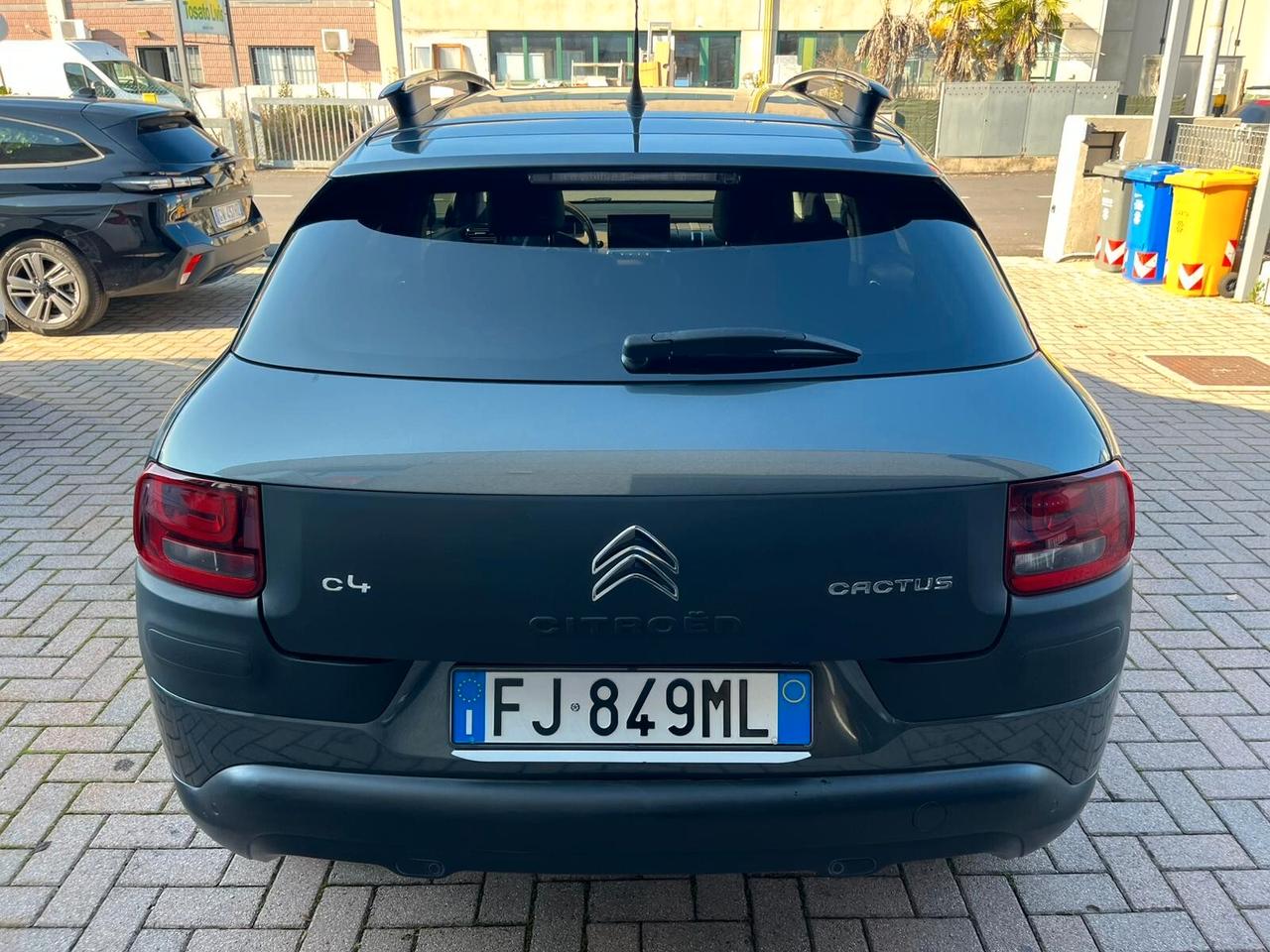 Citroen C4 Cactus BlueHDi 100 Rip Curl
