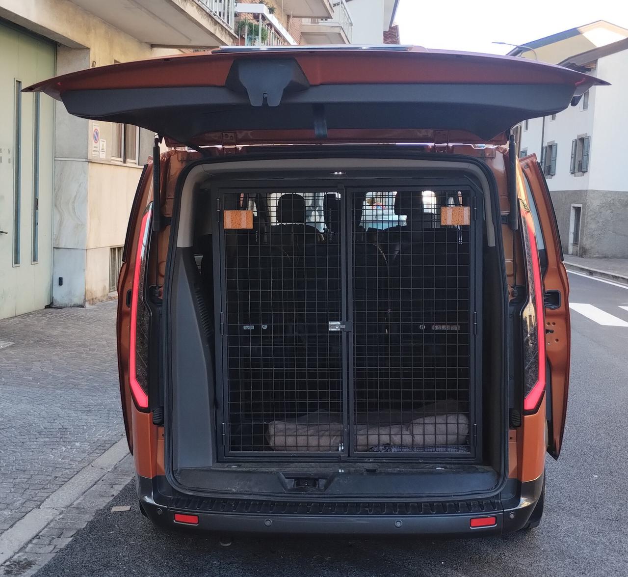 Ford Tourneo Custom 320 2.0 EcoBlue 170CV aut. PC Active