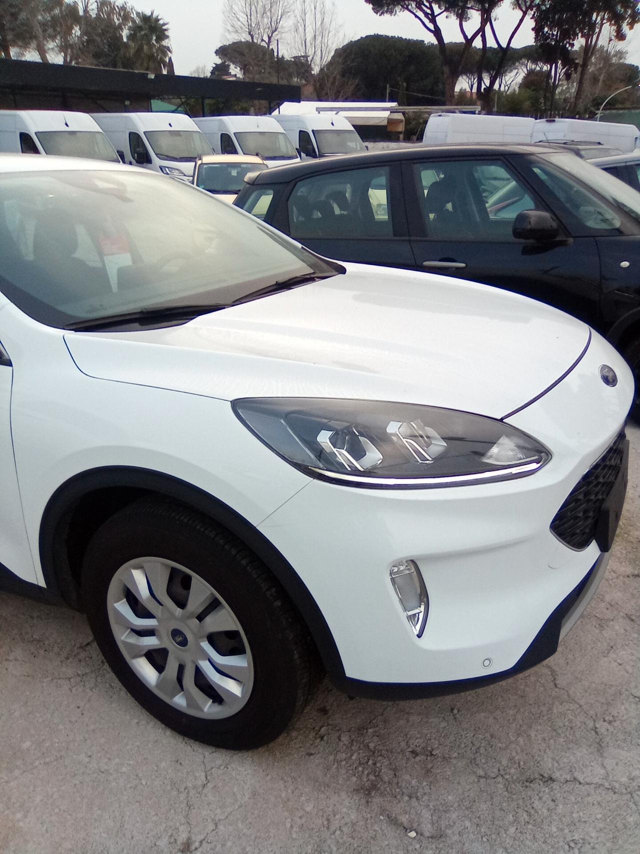 Ford Kuga 1.5 EcoBlue 120 CV 2WD Titanium gancio traino