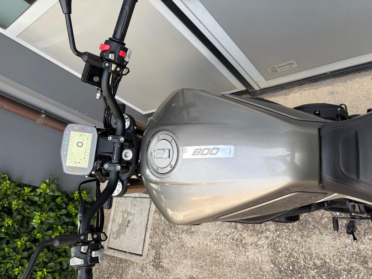 Benelli Leoncino 800