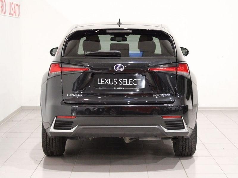 Lexus NX NX Hybrid 4WD Luxury