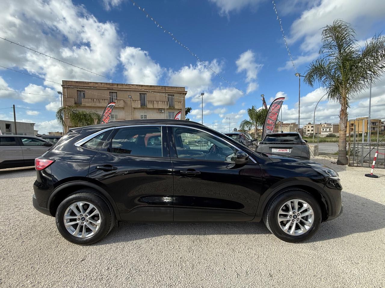 Ford Kuga 1.5 EcoBlue 120 CV aut. 2WD ST-Line X