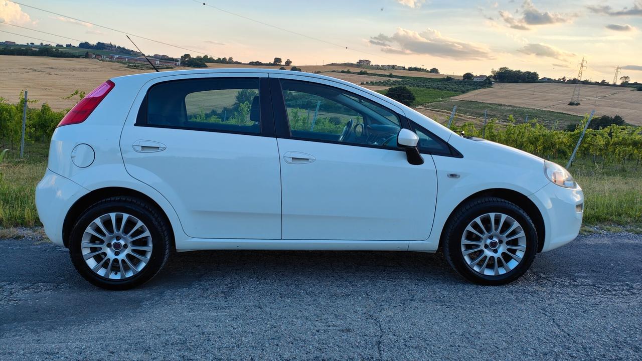 Fiat Punto 1.4 5 porte - neopatentati