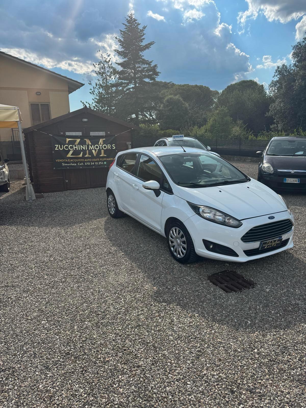 Ford Fiesta 1.4 5 porte Bz.- GPL Titanium