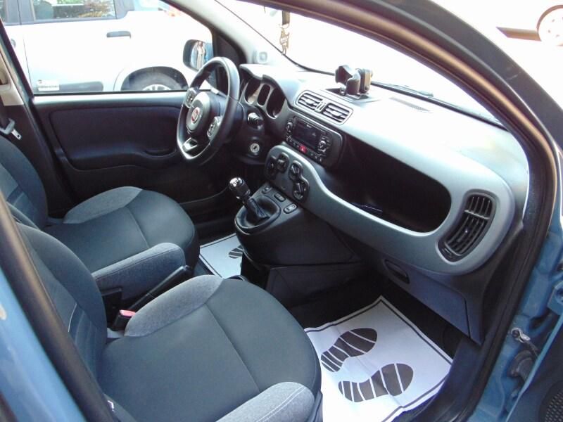 FIAT Panda 3ª serie Panda 1.0 FireFly S&S Hybr...
