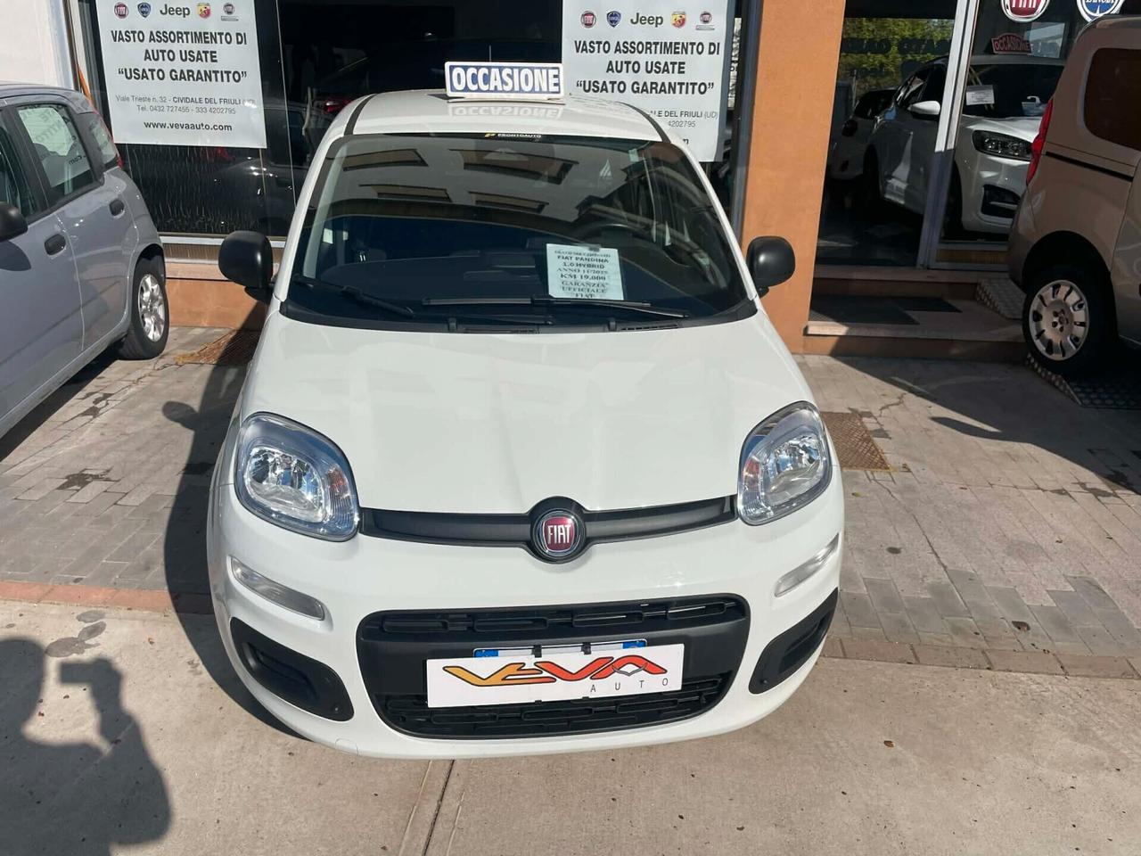 Fiat Panda Pandina 1.0 FireFly 65 CV Hybrid Icon