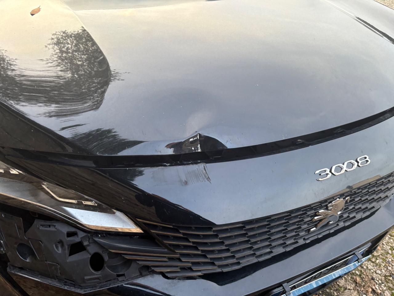 Peugeot 3008 INCIDENTATA