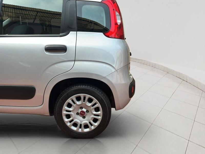 FIAT Panda 3ª serie Panda 1.2 Easy