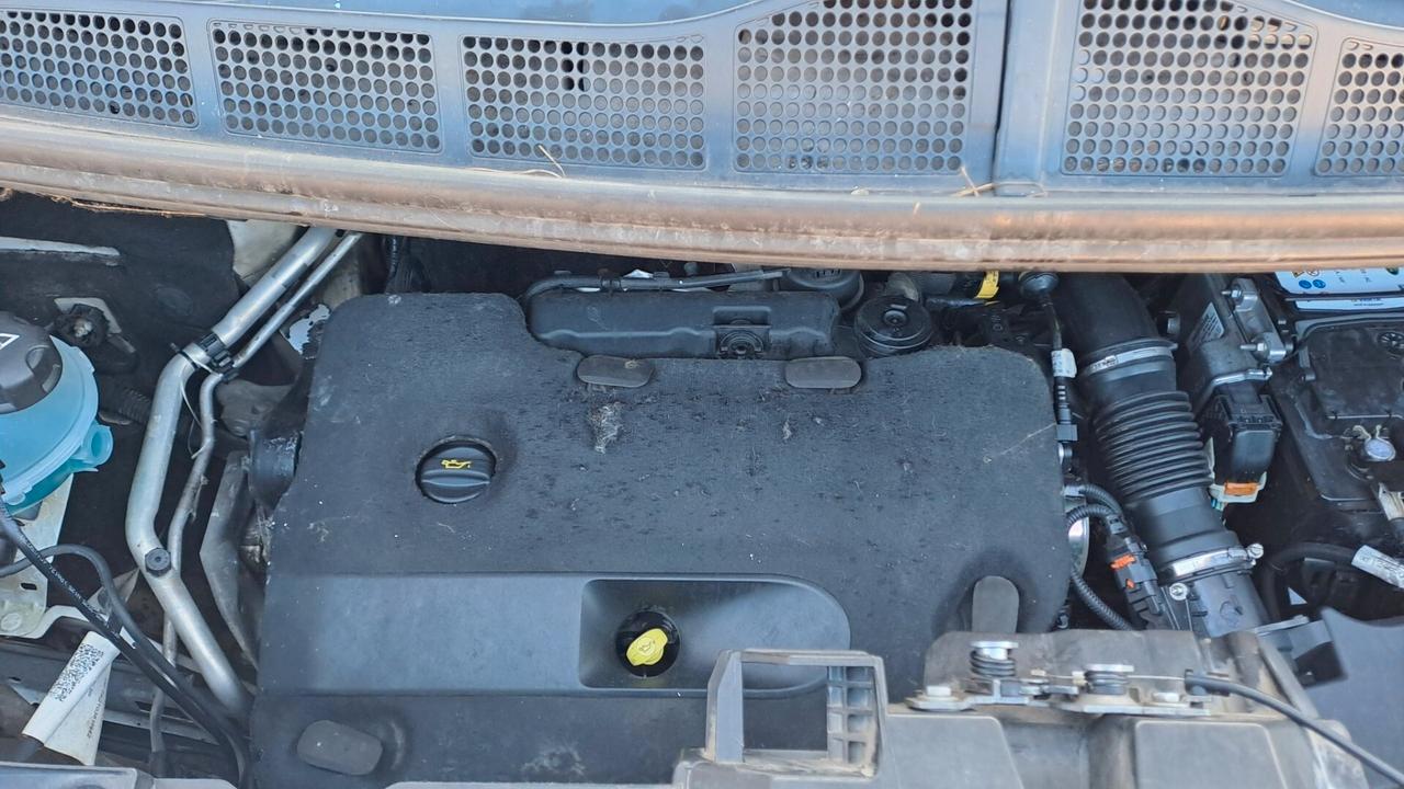 Toyota Proace LUNGO LEGGERE BENE