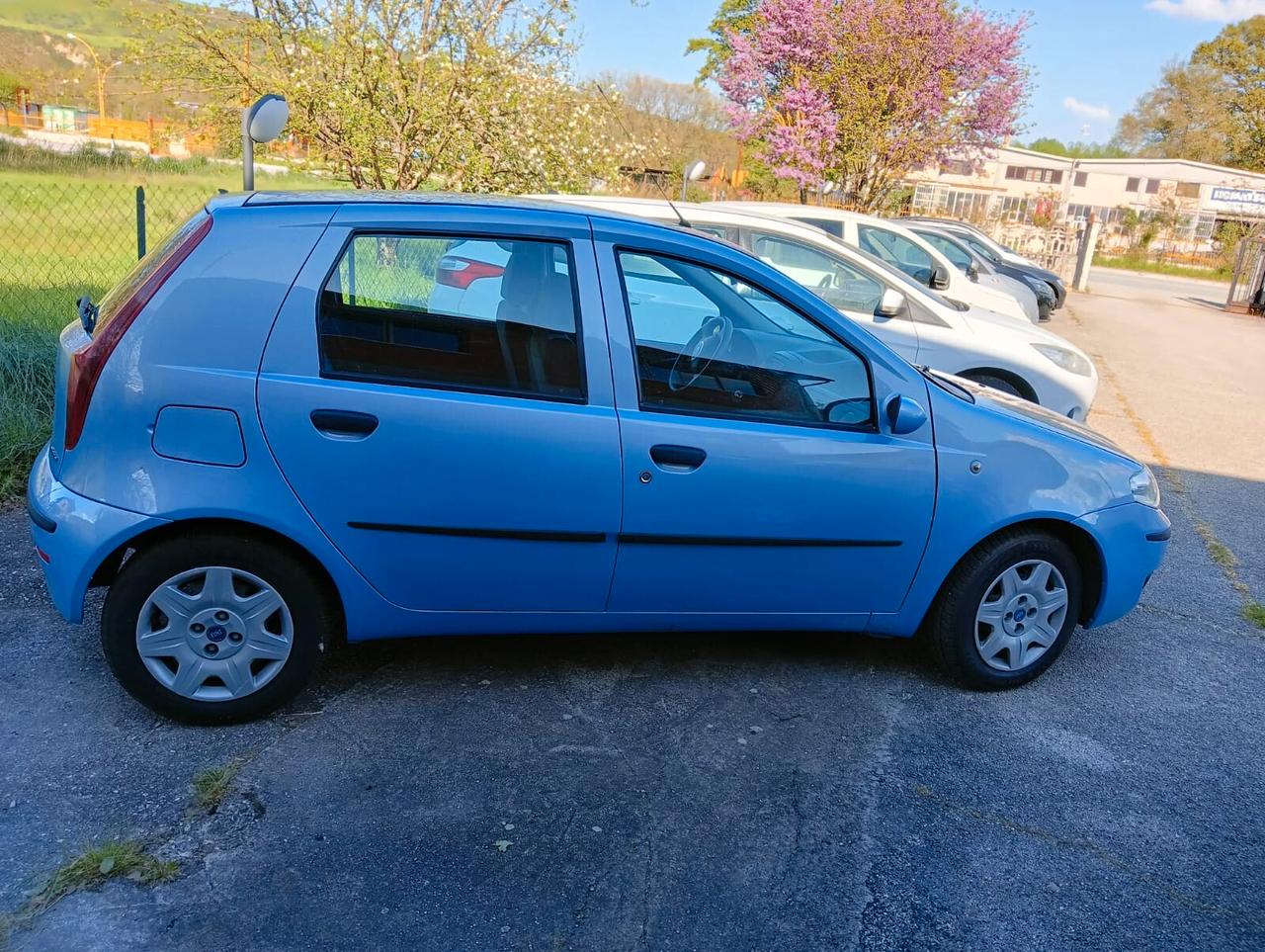 Fiat Punto 1.3 Multijet 16V 5 porte Dynamic