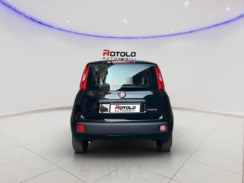 FIAT Panda 3ª serie Panda 1.0 FireFly S&S Hybr...