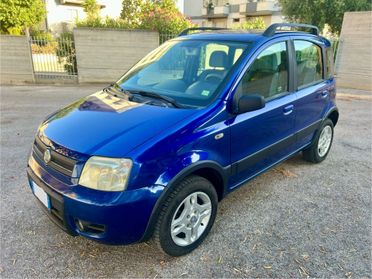 Fiat Panda 1.2 Climbing Natural Power