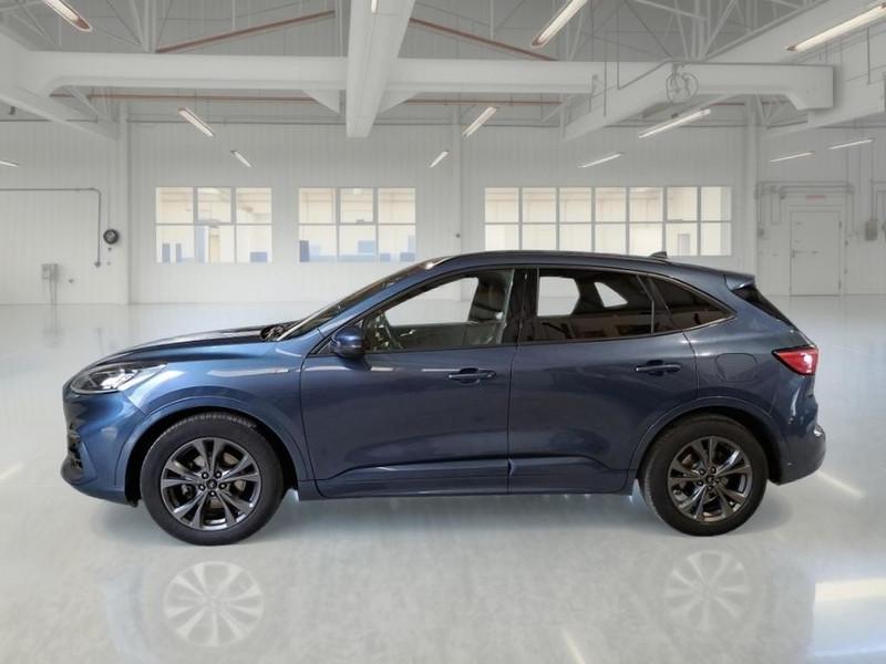 FORD KUGA 1.5 EcoBlue 120CV 2WD ST-Line X