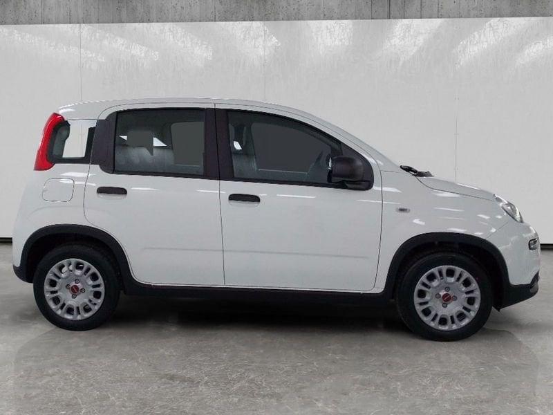FIAT Panda 1.0 firefly hybrid s&s 70cv 5p.ti