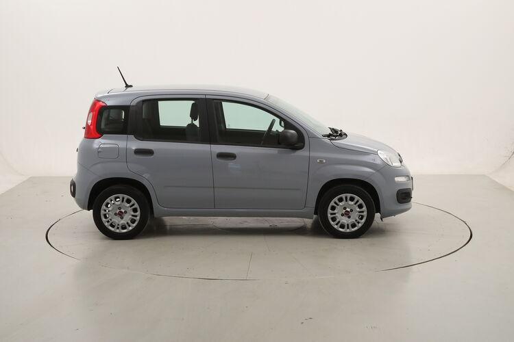 Fiat Panda Easy BR298451 1.2 Benzina 69CV
