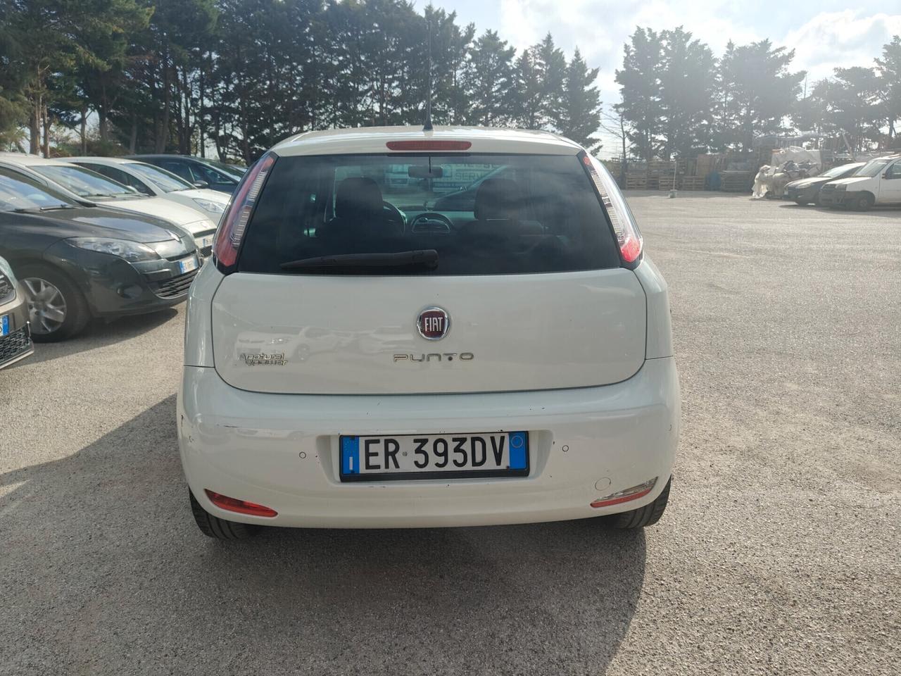 Fiat Punto 1.4 8V 5 porte Natural Power Street