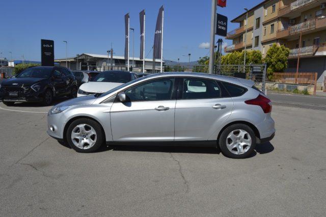 FORD Focus 1.6 TDCi 95 CV Business