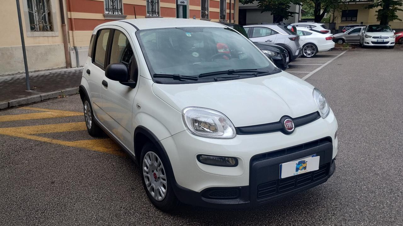 Fiat Panda 1.0 FireFly S&S Hybrid NEOPATENTATI