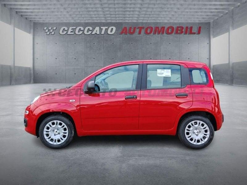 FIAT Panda Panda 1.0 firefly hybrid s&s 70cv
