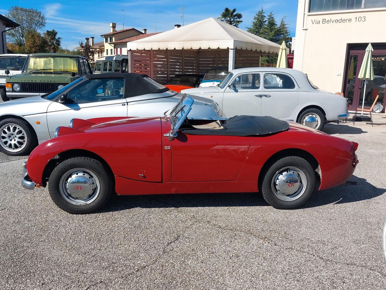 Austin Healey Sprite Frog Eye del 1958