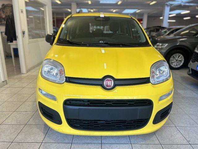 FIAT Panda 1.0 FireFly S&S Hybrid Icon