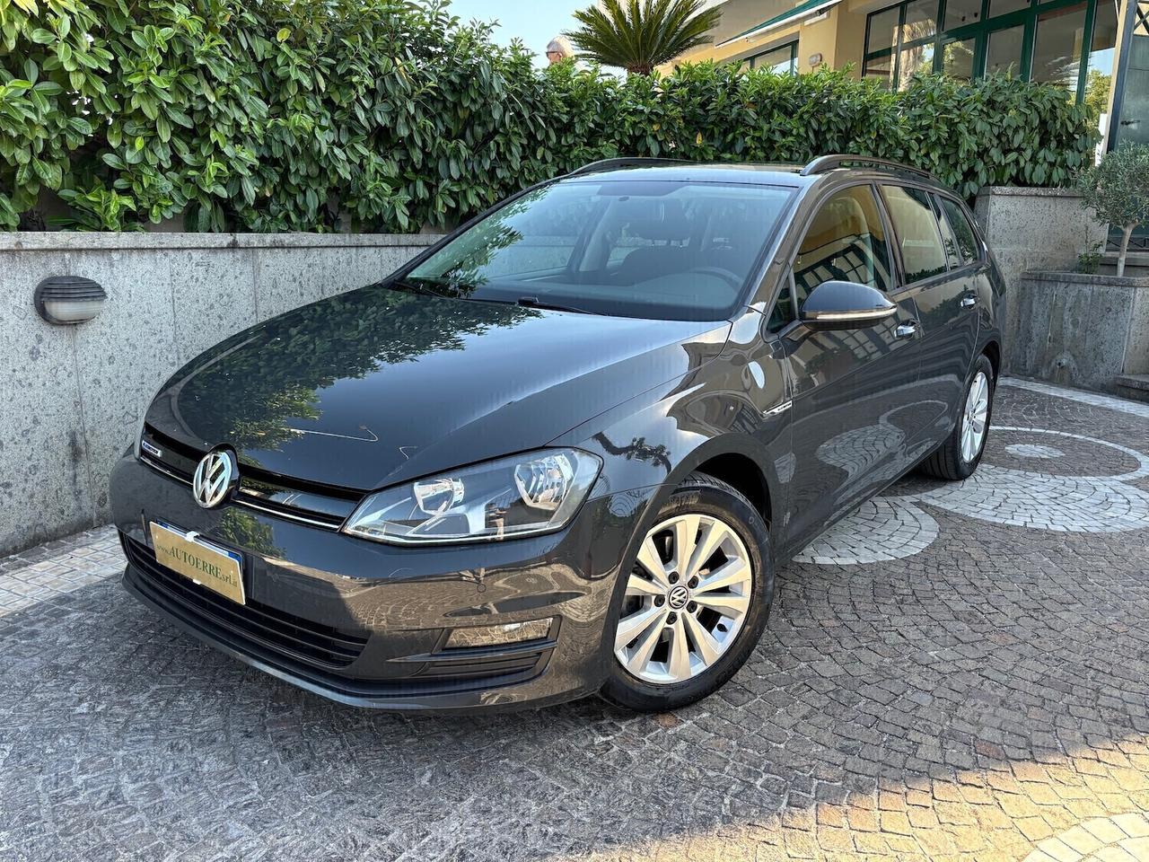 Volkswagen Golf ws 1.4 TGI BlueMotion