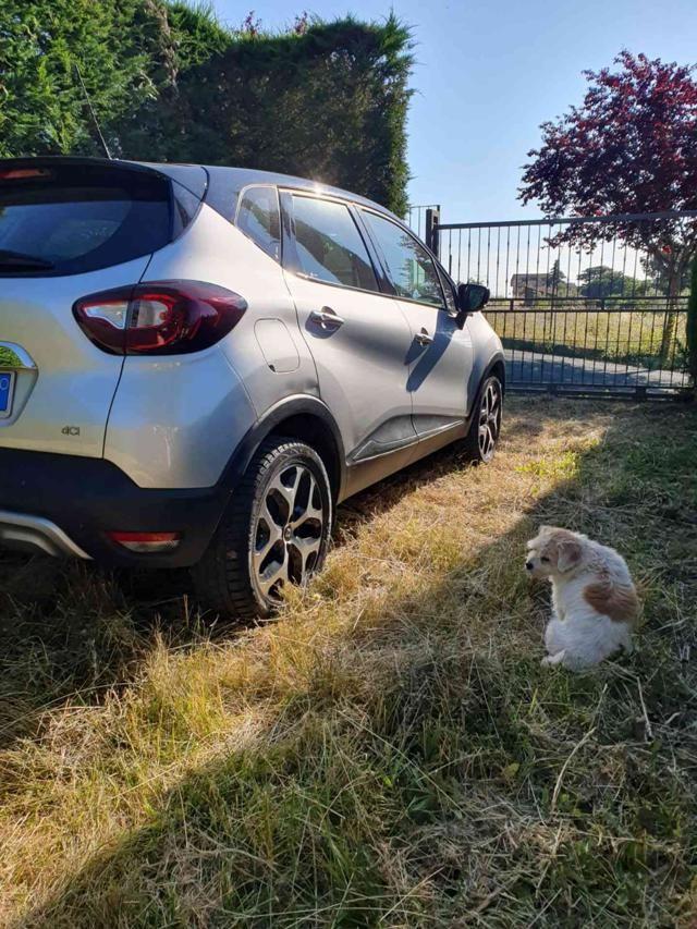 RENAULT Captur dCi 8V 90 CV Start&Stop Energy Bose