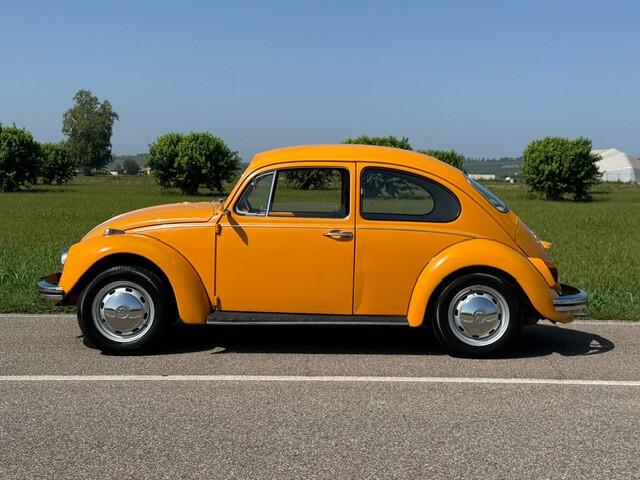 Volkswagen Maggiolino VETRO PIATTO 1.300