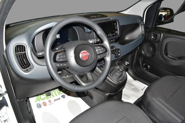 FIAT PANDA - PANDA 1.0 70CV HYBRID ICON