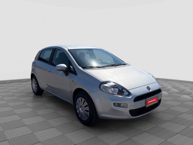 FIAT Punto Punto 1.2 8V 5 porte Street