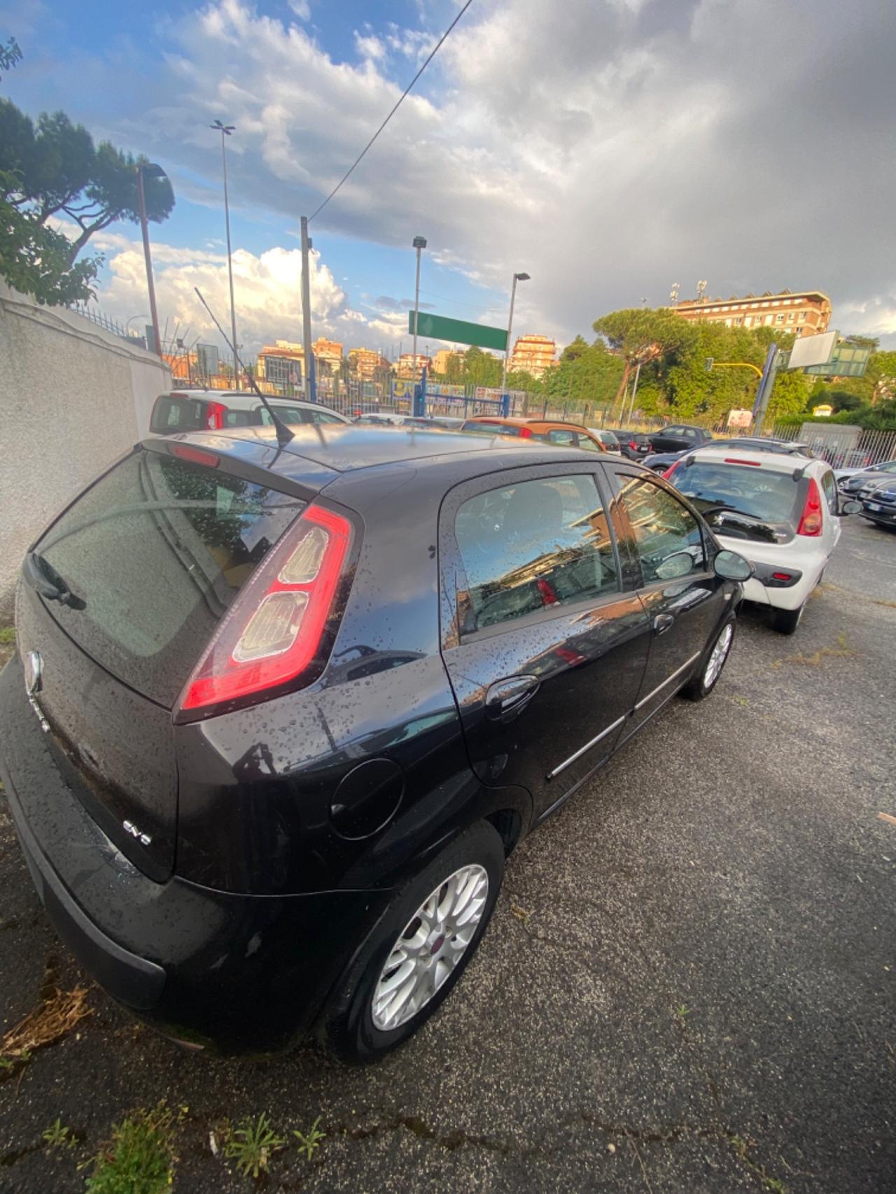 Fiat Punto Evo Punto Evo 1.2 5 porte Dynamic