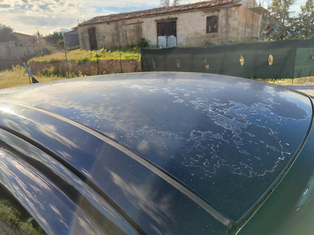 Fiat Punto 1.4 benzina GPL