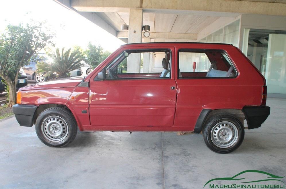 Fiat Panda 1100 i.e. cat Young