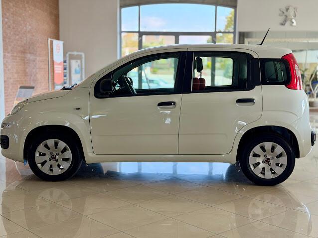 FIAT Panda Easy - 1.2 Benz. 69cv EURO6D