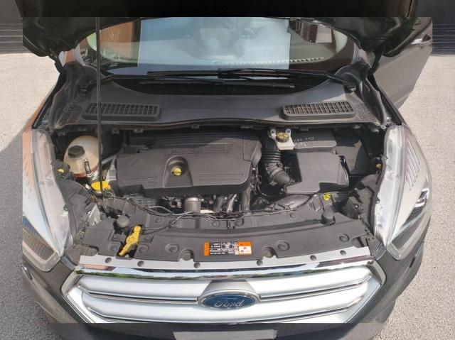 Ford Kuga Kuga II 2018- 2.0 tdci Business s&s 2wd 120cv