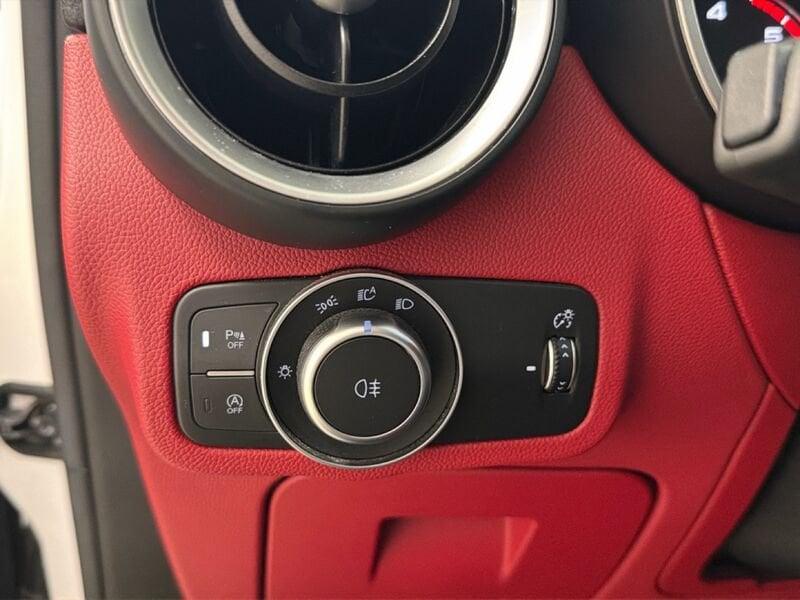 Alfa Romeo Stelvio Stelvio 2.2 Turbodiesel 190 CV AT8 Q4 Sprint